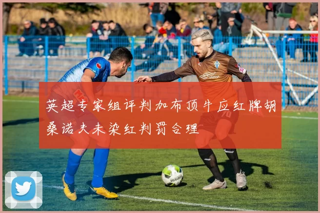 英超专家组评判加布顶牛应红牌胡桑诺夫未染红判罚合理