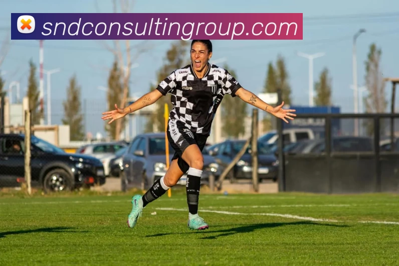 mk体育app网页版APP 封面图